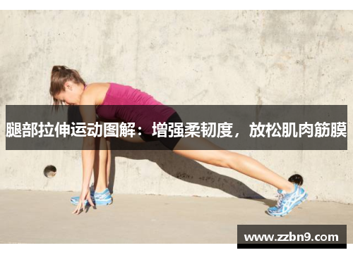 腿部拉伸运动图解：增强柔韧度，放松肌肉筋膜